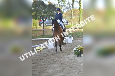 01 DRESSAGE **