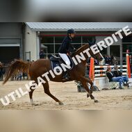 BAR_0928Majors_2021