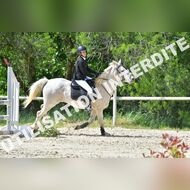 GRA_8522Grabelle_2022