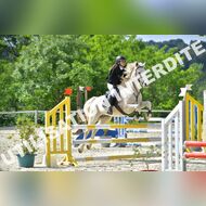 GRA_8526Grabelle_2022