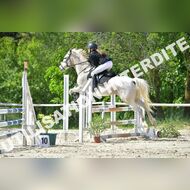 GRA_8528Grabelle_2022