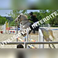 GRA_8531Grabelle_2022