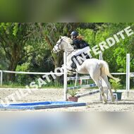 GRA_8532Grabelle_2022