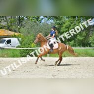 GRA_8578Grabelle_2022