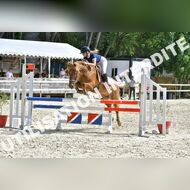 GRA_8580Grabelle_2022