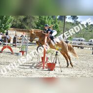 GRA_8582Grabelle_2022