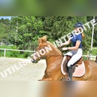 GRA_8586Grabelle_2022