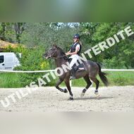 GRA_8612Grabelle_2022