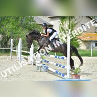 GRA_8618Grabelle_2022