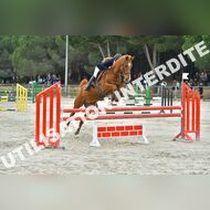 PR2_2114_Gramont