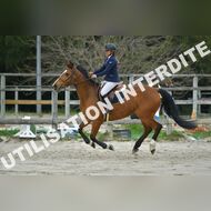 PR2_2115_Gramont