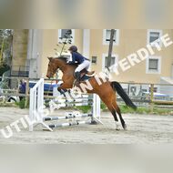 PR2_2124_Gramont