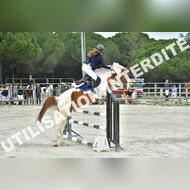 PR2_2132_Gramont