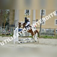 PR2_2135_Gramont