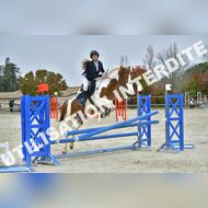 PR2_2136_Gramont