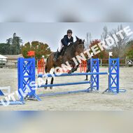PR2_2146_Gramont