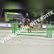 PR2_2154_Gramont