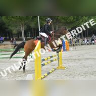 PR2_2160_Gramont