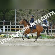 PR2_2173_Gramont