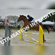 PR2_2175_Gramont