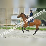 PR2_2180_Gramont