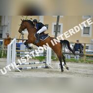 PR2_2181_Gramont