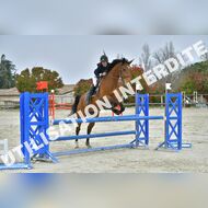 PR2_2182_Gramont