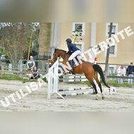 PR2_2190_Gramont
