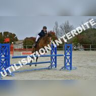 PR2_2191_Gramont
