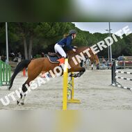 PR2_2193_Gramont