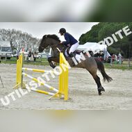 PR2_2232_Gramont