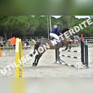 PR2_2234_Gramont