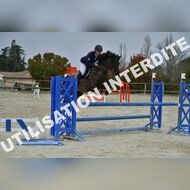 PR2_2241_Gramont