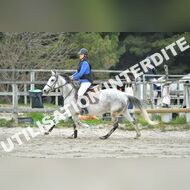 PR2_2244_Gramont