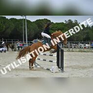 PR2_2261_Gramont