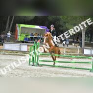PR2_2262_Gramont