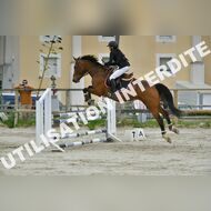 PR2_2277_Gramont