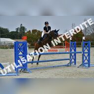 PR2_2291_Gramont