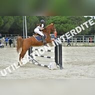 PR2_2298_Gramont