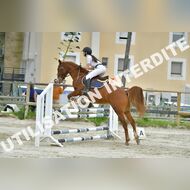 PR2_2302_Gramont