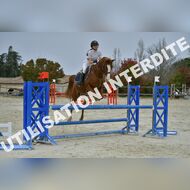 PR2_2303_Gramont