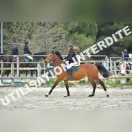 PR2_2308_Gramont