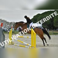 PR2_2311_Gramont