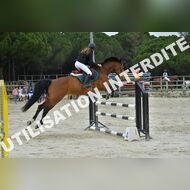 PR2_2313_Gramont