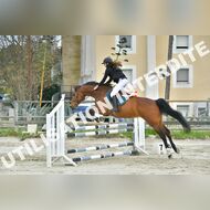 PR2_2316_Gramont