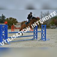 PR2_2317_Gramont