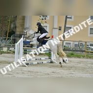 PR2_2331_Gramont
