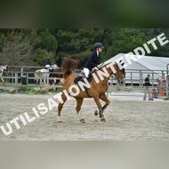 PR2_2335_Gramont