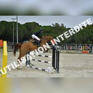 PR2_2339_Gramont