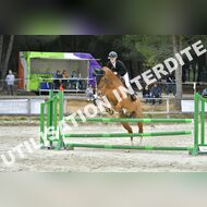 PR2_2340_Gramont